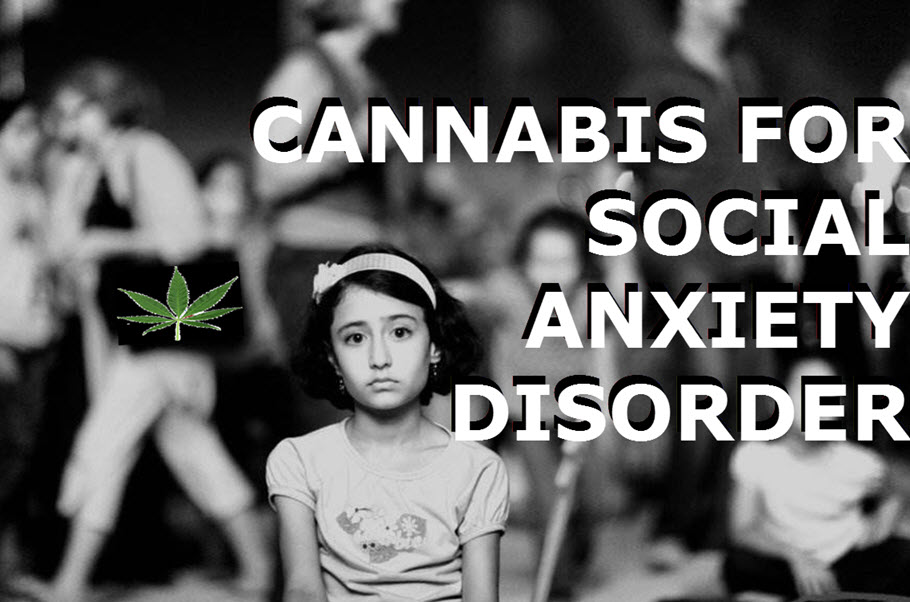 CANNABIS FOR ANXIETY DISORDER